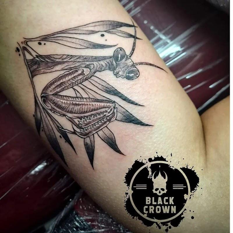Black Crown - Main Photo